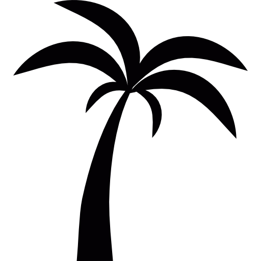 Silhouette of a palm tree representing coastal fashion and a summer vibe at Raggdoll Boutique in Port Aransas.