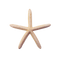 Starfish on a white background, symbolizing coastal beauty and gifts from the sea.