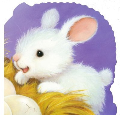 An Easter Prayer (Touch/Feel Book)