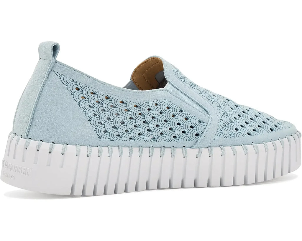 Ash Blue Platform Tulips By Ilse Jacobsen 141 603a