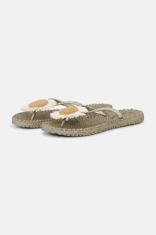 Cheerful Flip-Flop w/ Flower by Ilse Jacobsen-Platin 780A