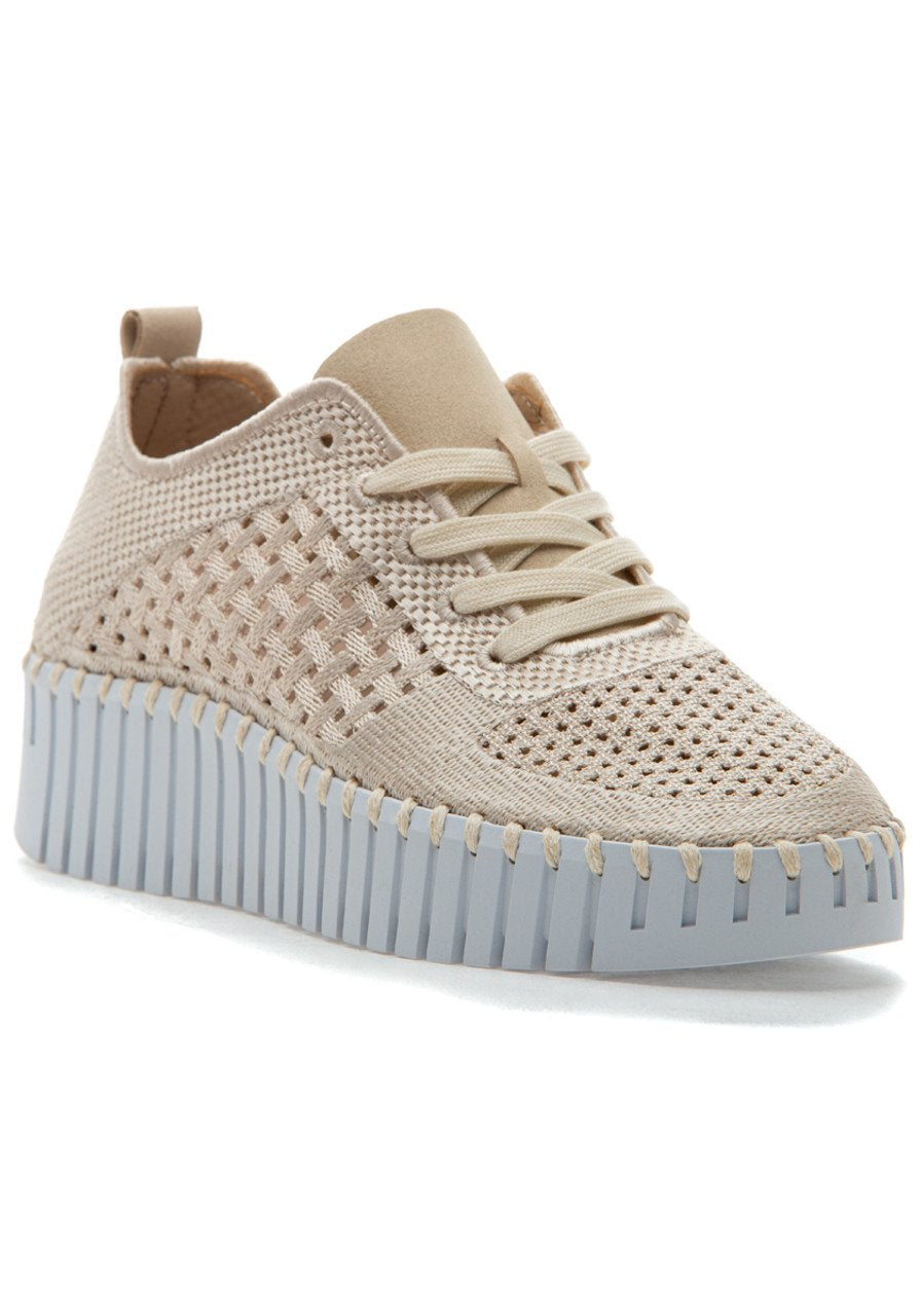 New! Kit Lace-Up Tulip by Ilse Jacobsen 4271