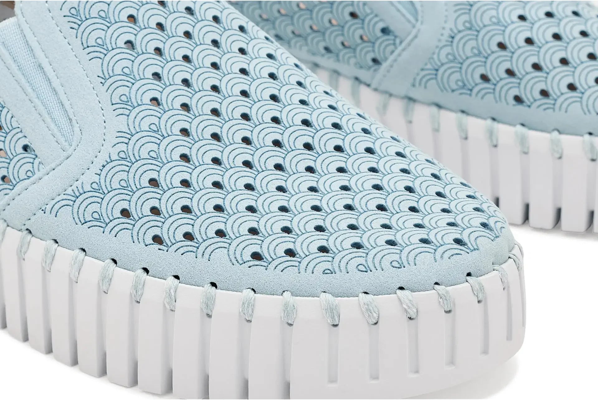 Ash Blue Platform Tulips By Ilse Jacobsen 141 603a