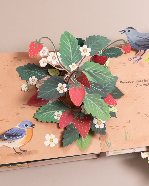 FLORA BOTANICAL POP-UP BOOK