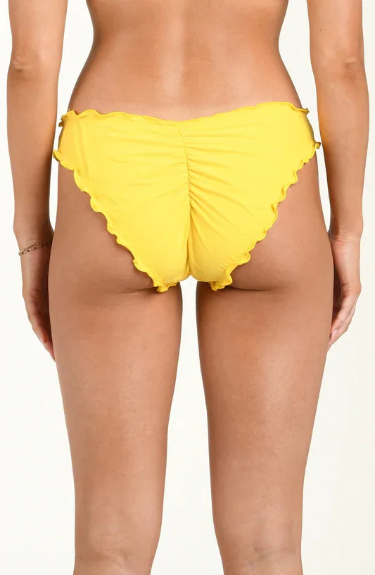 Citrus-Solid Merrow Hipster-Dandelion