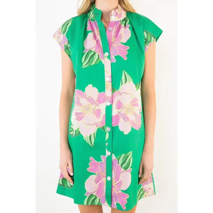 Tulane Dress