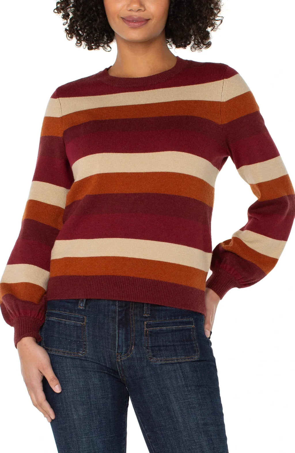 LP Multi Burgundy Striped Sweater