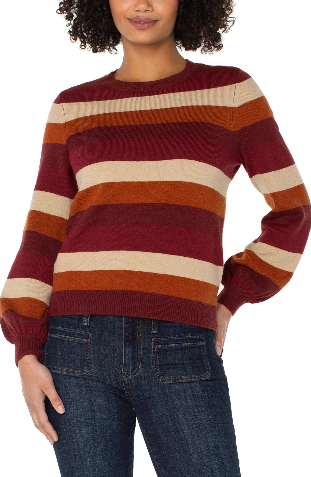 LP Multi Burgundy Striped Sweater