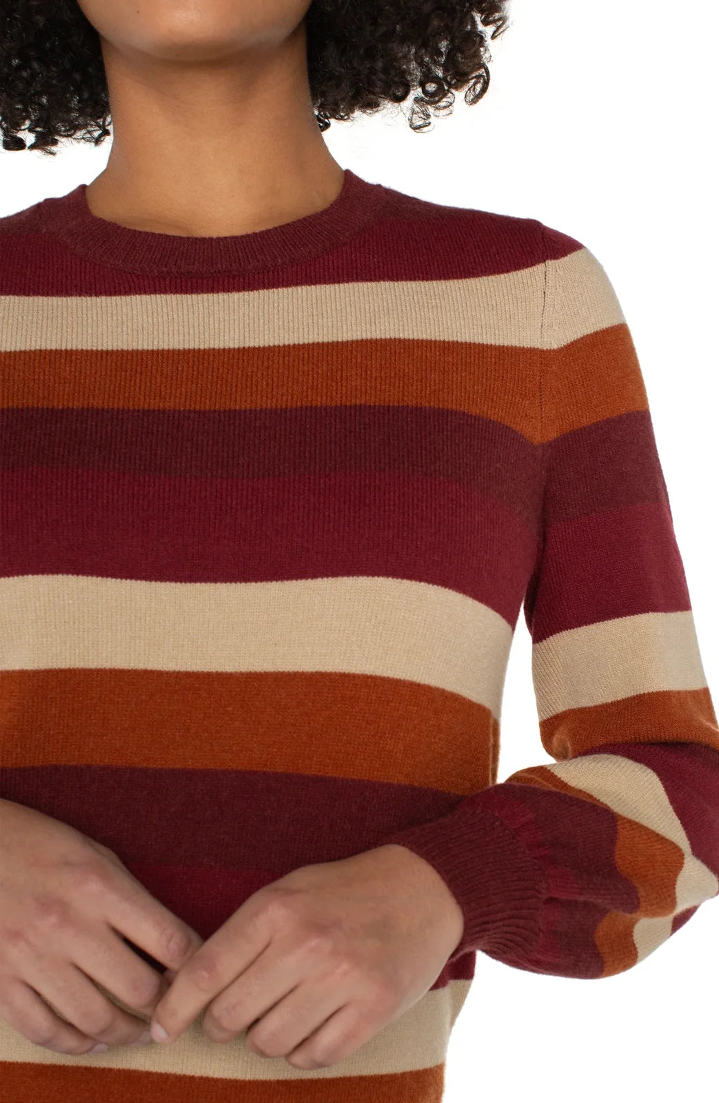 LP Multi Burgundy Striped Sweater